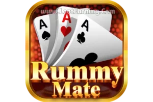 Rummy Mate APK | Bonus ₹51 | Mate Rummy App | Withdraw ₹100